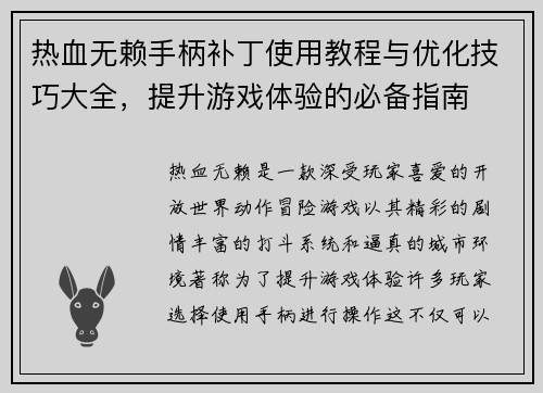 热血无赖手柄补丁使用教程与优化技巧大全，提升游戏体验的必备指南